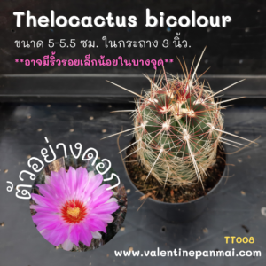 Thelocactus bicolour