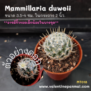 Mammillaria duweii